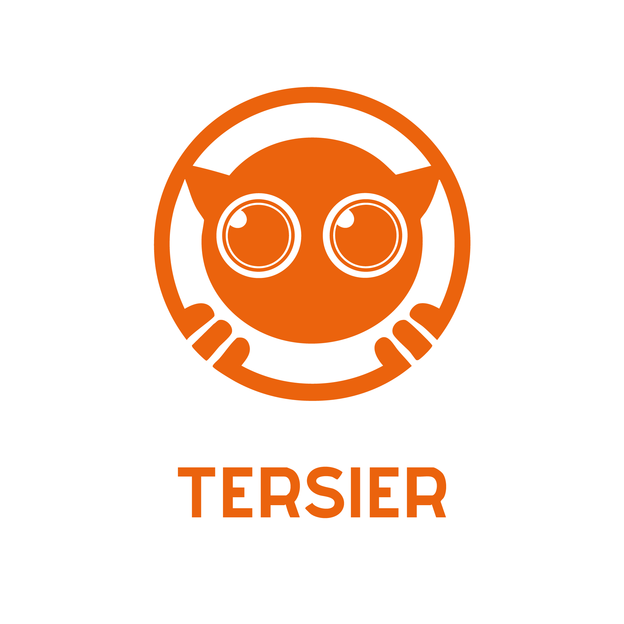 Tersier Güvenlik Kayıt Görseli